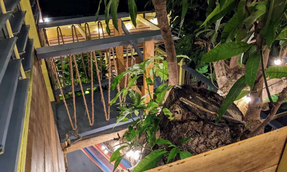 Tree-Cottage-21