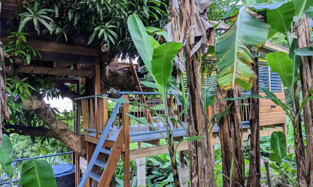 Tree-Cottage-25