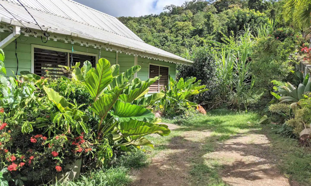 Unique-Caribbean-52058549-03