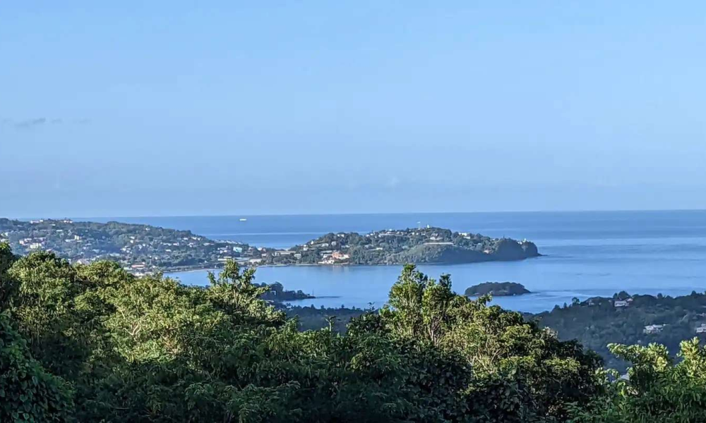 Unique-Caribbean-52058549-65